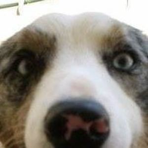 Meet your Posher, Rosa